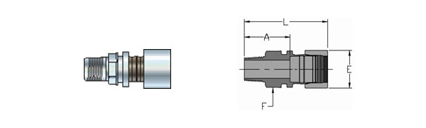 Male Connectors - Stainless Steel Tube Fittings 